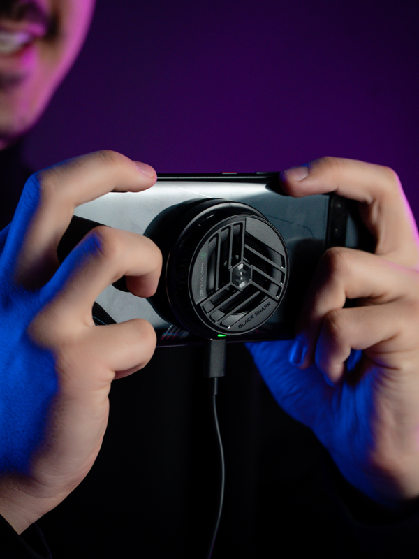 Cooler Magnetic Black Shark